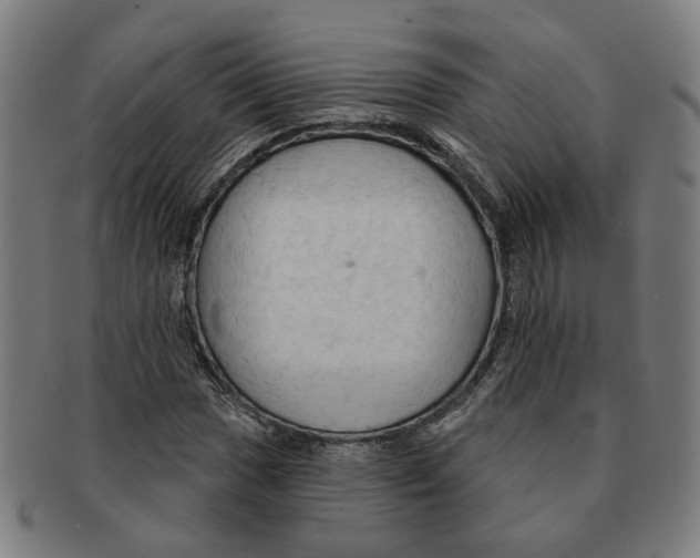 X0000090981017200708301244