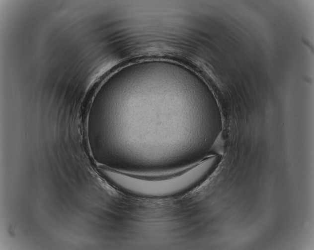 X0000090981018200708301244