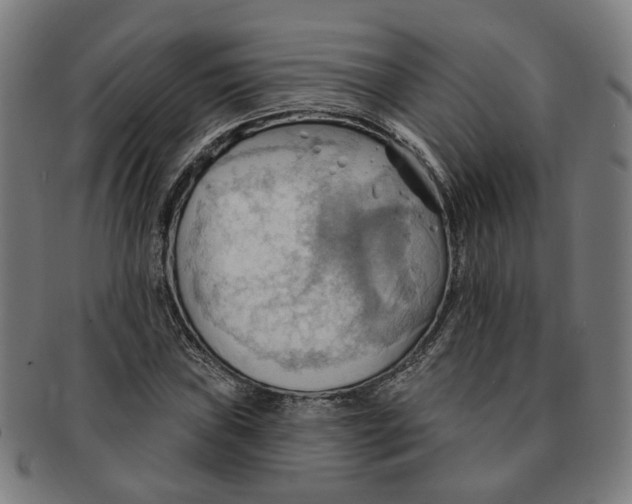 X0000090981019200708301244