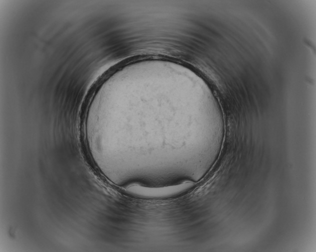X0000090981020200708301244