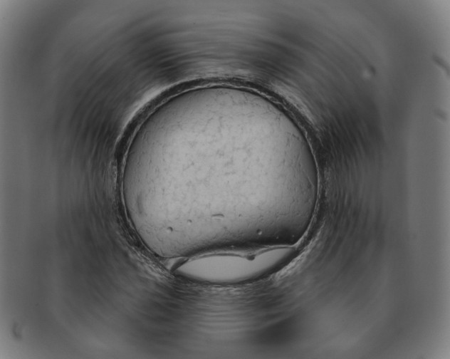 X0000090981021200708301244