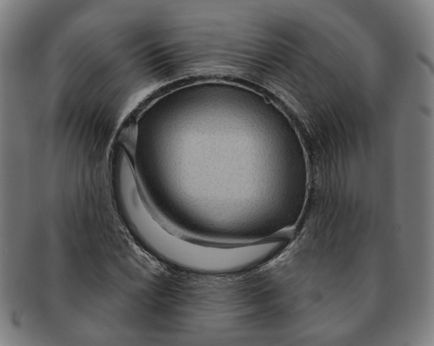 X0000090981022200708301244