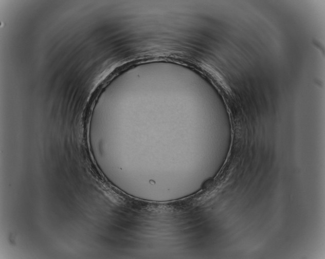 X0000090981023200708301244