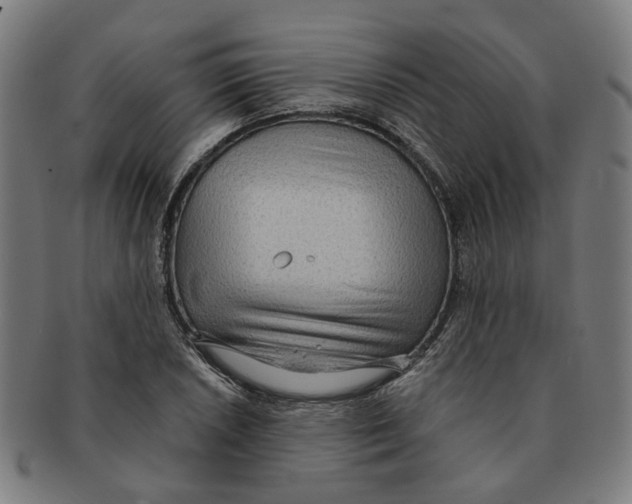 X0000090981026200708301244