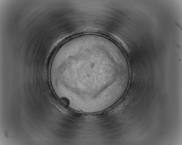X0000090981027200708301244