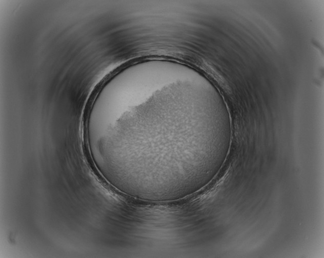 X0000090981028200708301244
