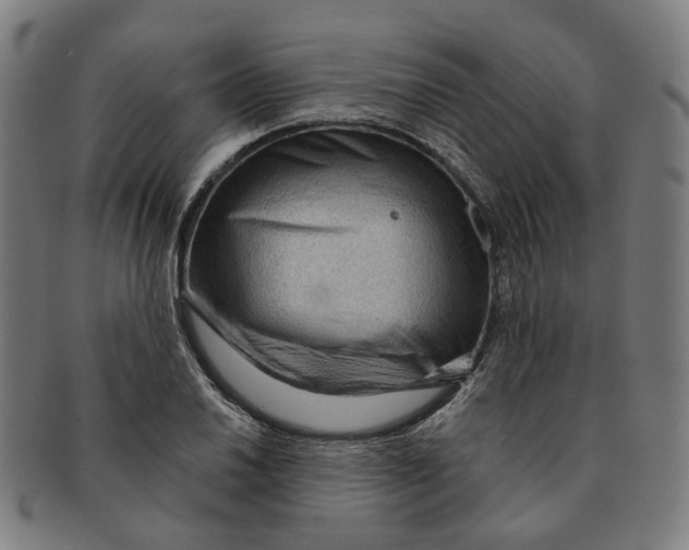 X0000090981030200708301244