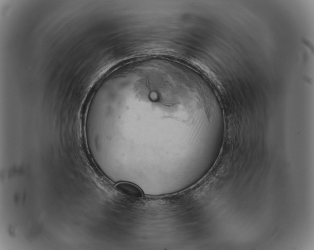 X0000090981031200708301244
