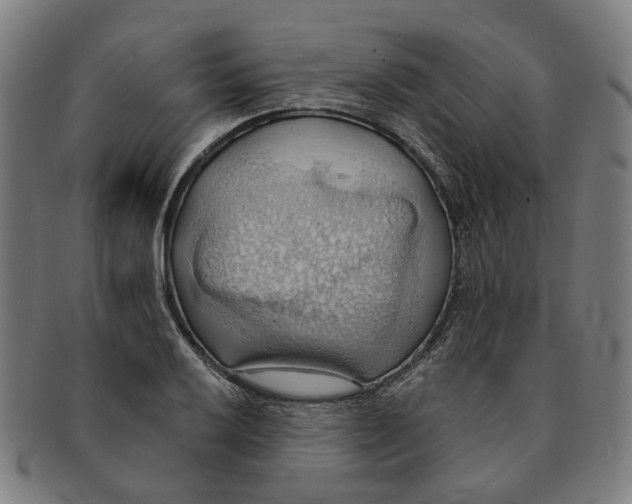 X0000090981032200708301244