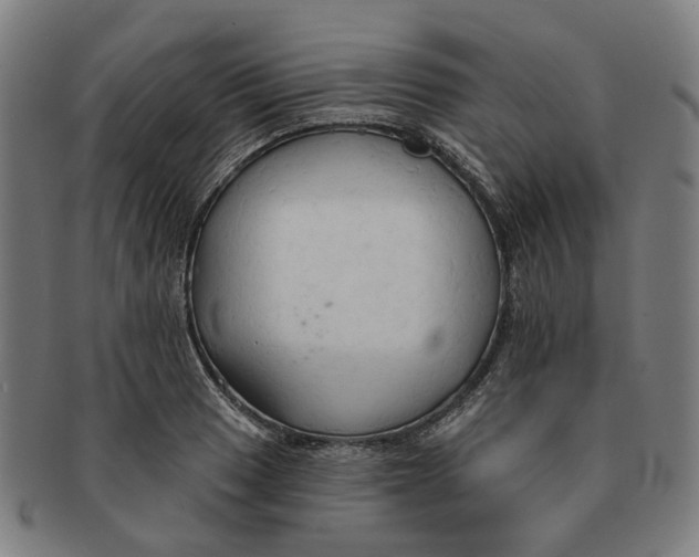 X0000090981033200708301244