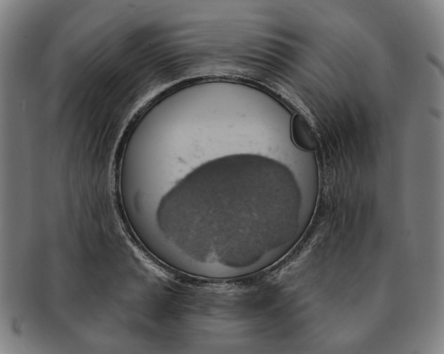 X0000090981037200708301244