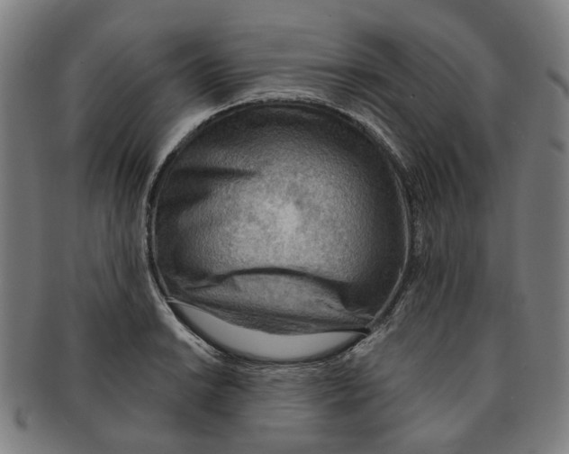 X0000090981038200708301244