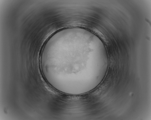 X0000090981039200708301244