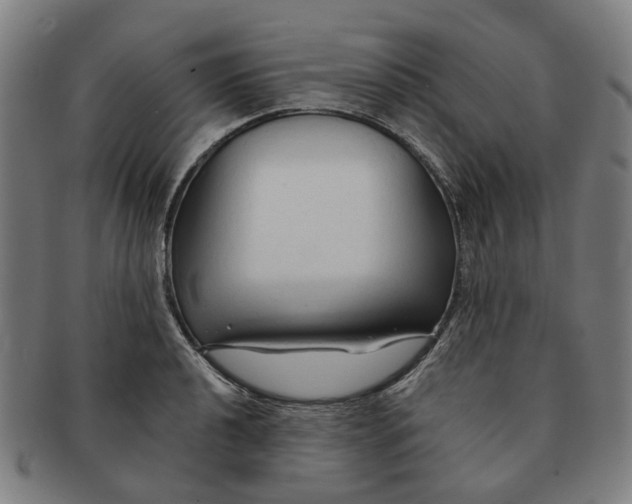 X0000090981040200708301244