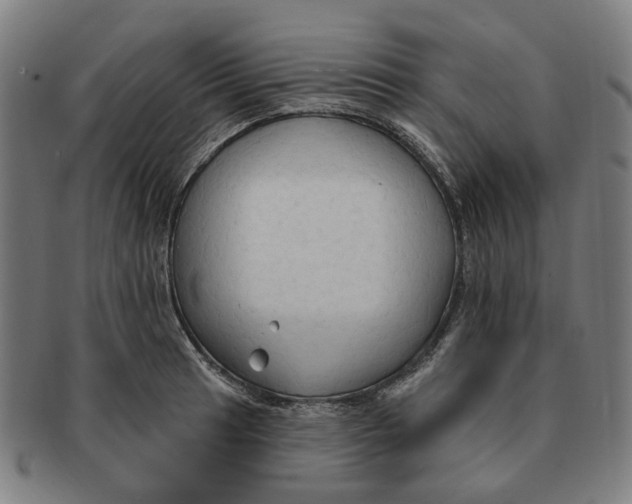 X0000090981041200708301244