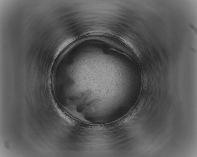 X0000090981042200708301244