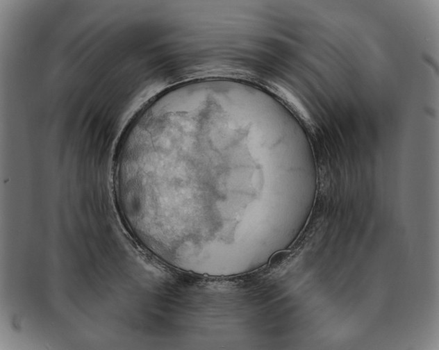 X0000090981043200708301244