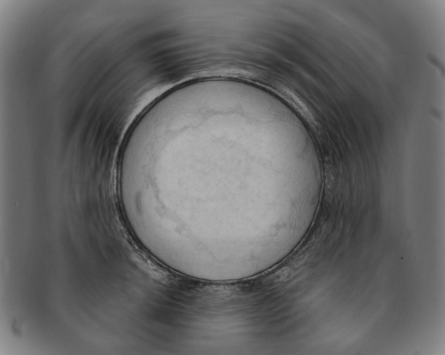X0000090981044200708301244