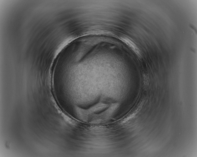 X0000090981046200708301244