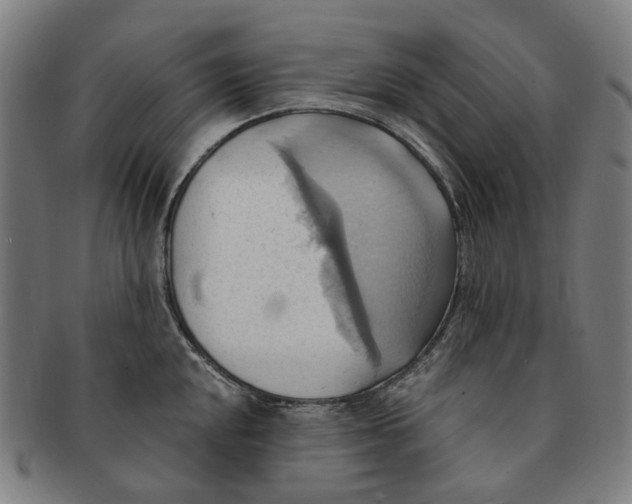 X0000090981048200708301244
