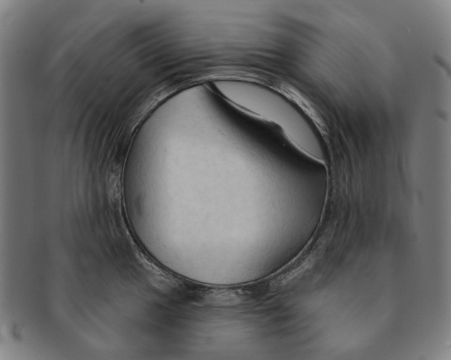X0000090981049200708301244