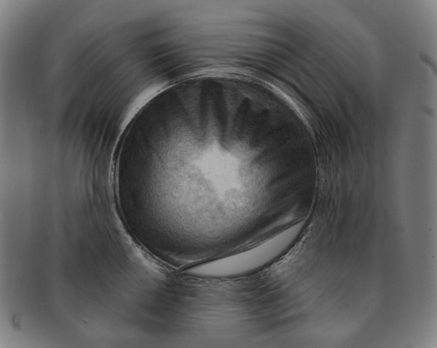 X0000090981050200708301244