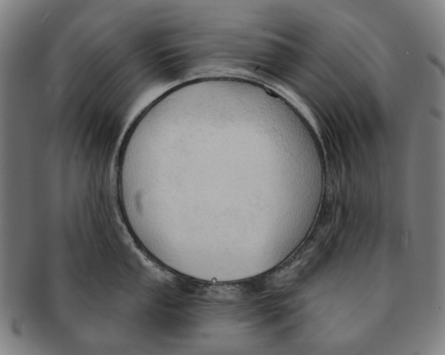 X0000090981053200708301244