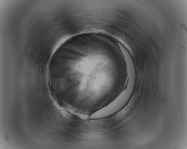 X0000090981054200708301244