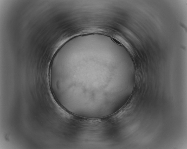 X0000090981055200708301244