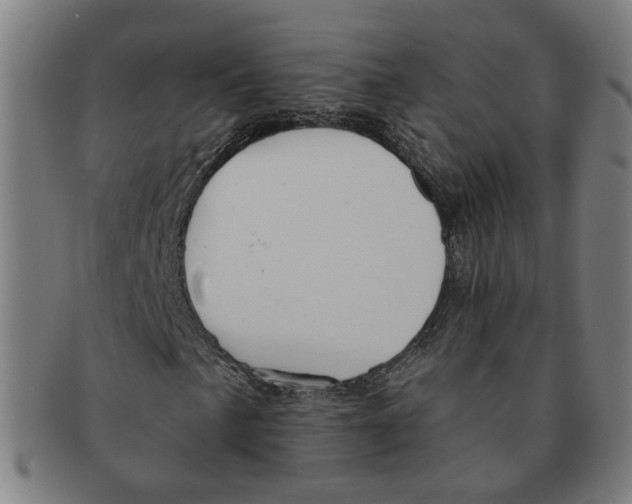 X0000090981057200708301244