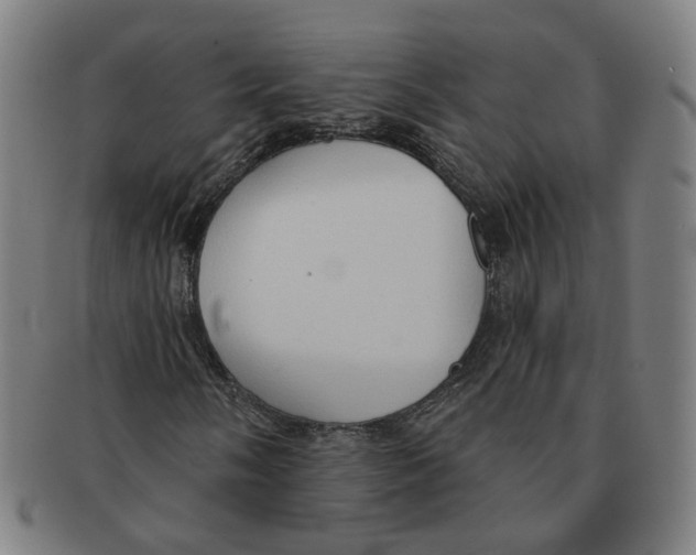 X0000090981058200708301244
