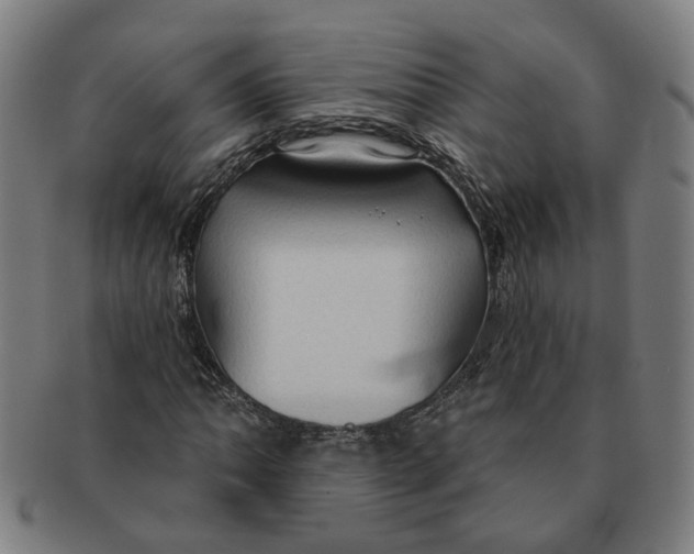X0000090981062200708301244