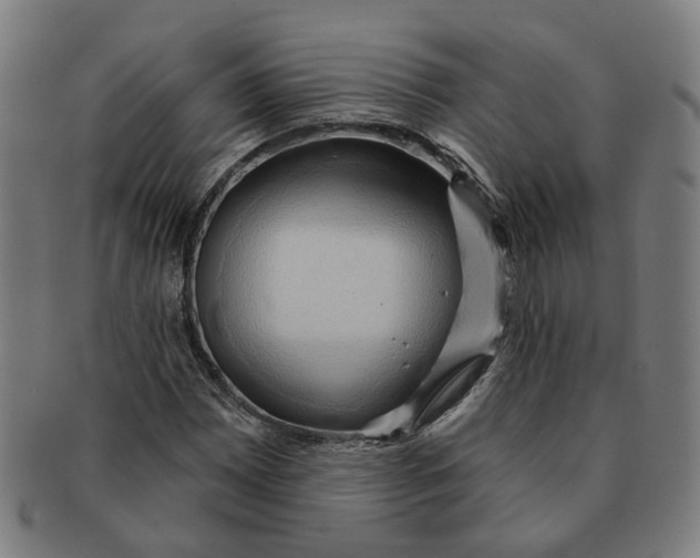 X0000090981065200708301244