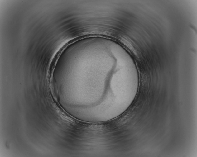 X0000090981068200708301243