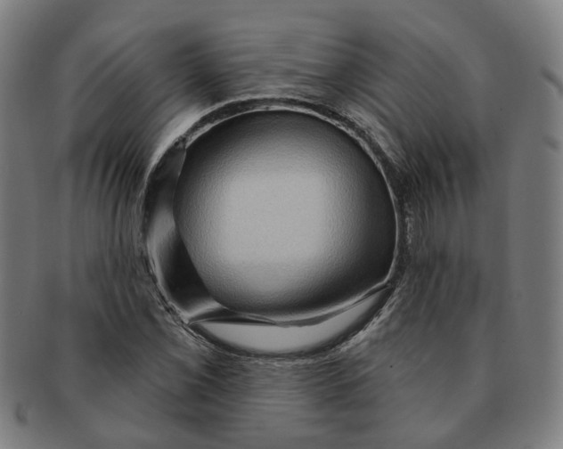 X0000090981069200708301243