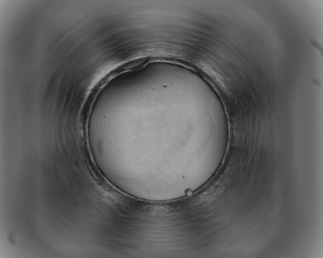 X0000090981070200708301243