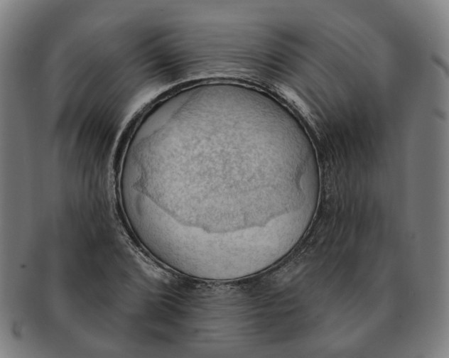X0000090981072200708301243