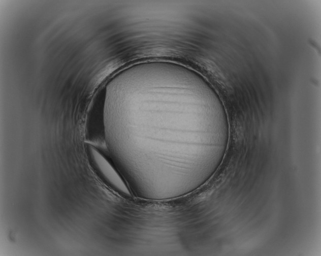 X0000090981073200708301243