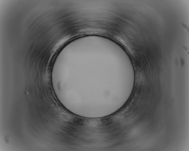 X0000090981074200708301243