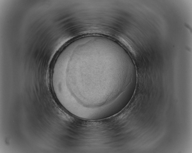 X0000090981076200708301243