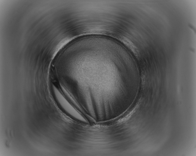 X0000090981077200708301243