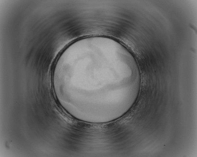 X0000090981078200708301243