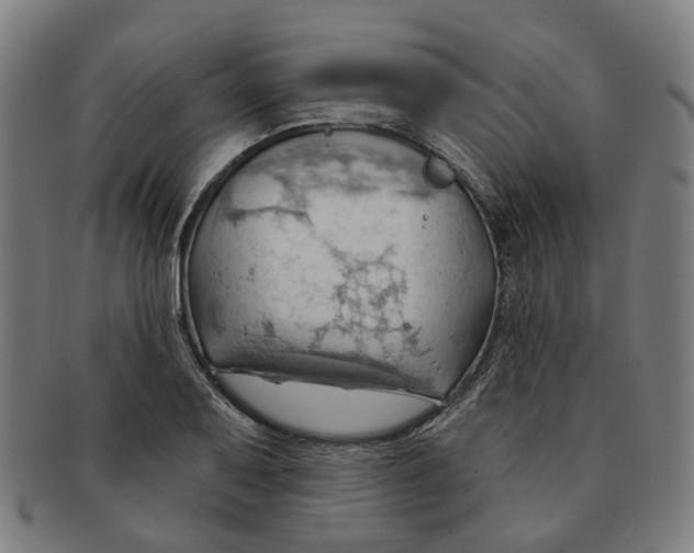 X0000090981079200708301243