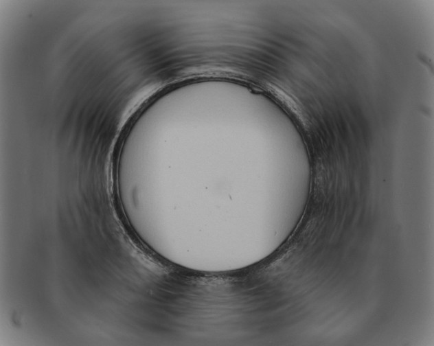 X0000090981082200708301243