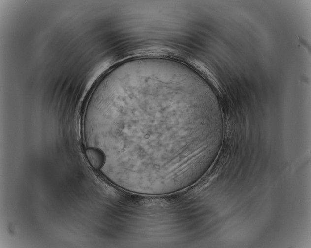 X0000090981083200708301243