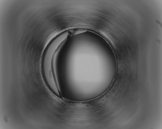 X0000090981085200708301243