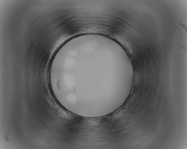 X0000090981086200708301243