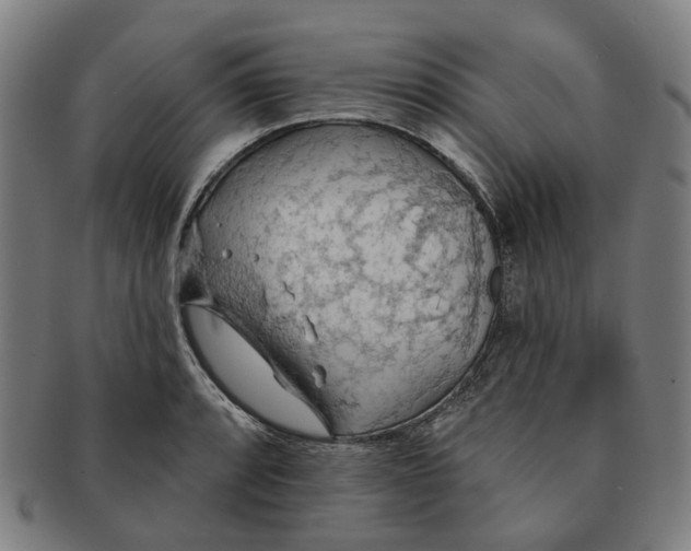 X0000090981088200708301243
