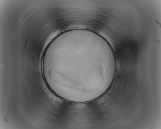 X0000090981090200708301243