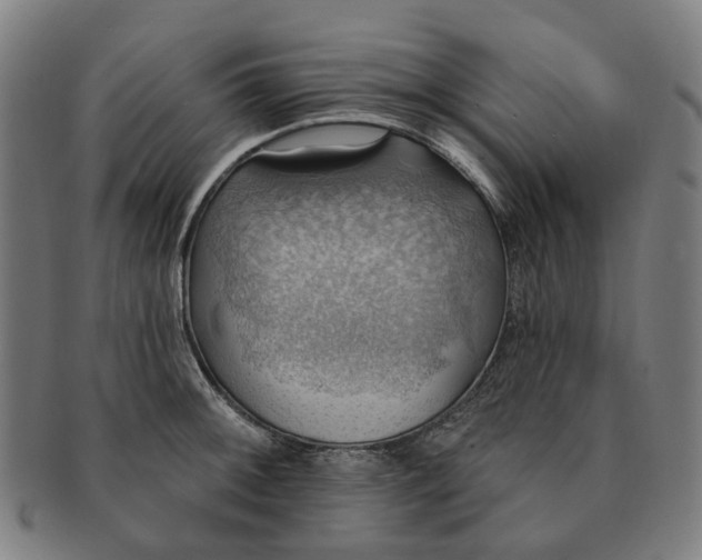 X0000090981092200708301243